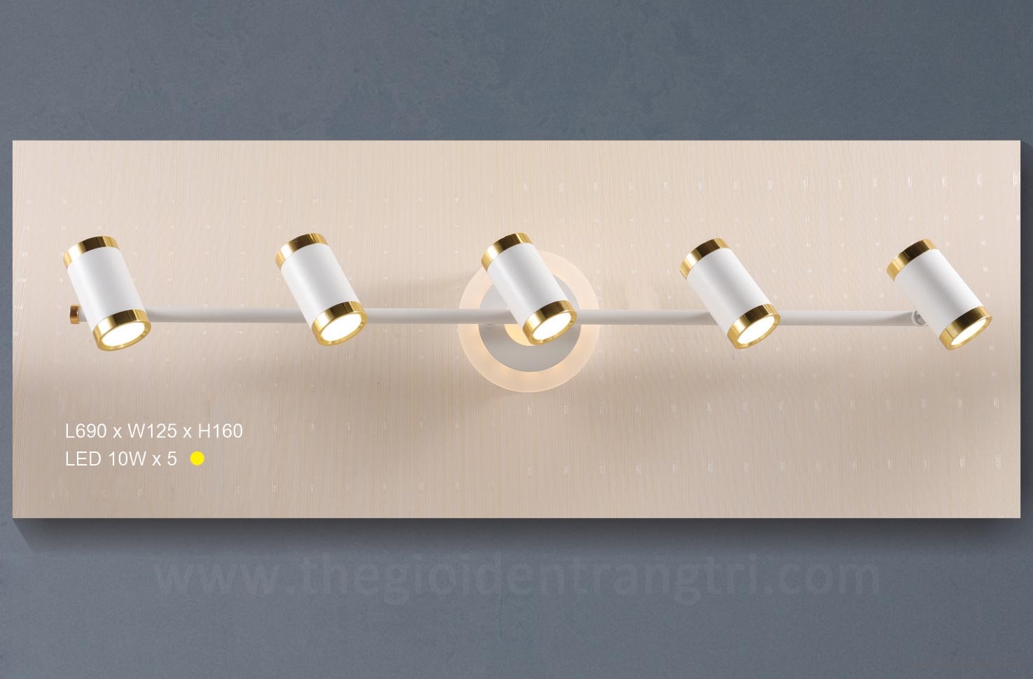 Đèn rọi tranh 5 bóng cao cấp