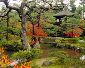 Khám Phá Kyoto: Cõi Thiêng Cổ Kính Của Nhật Bản