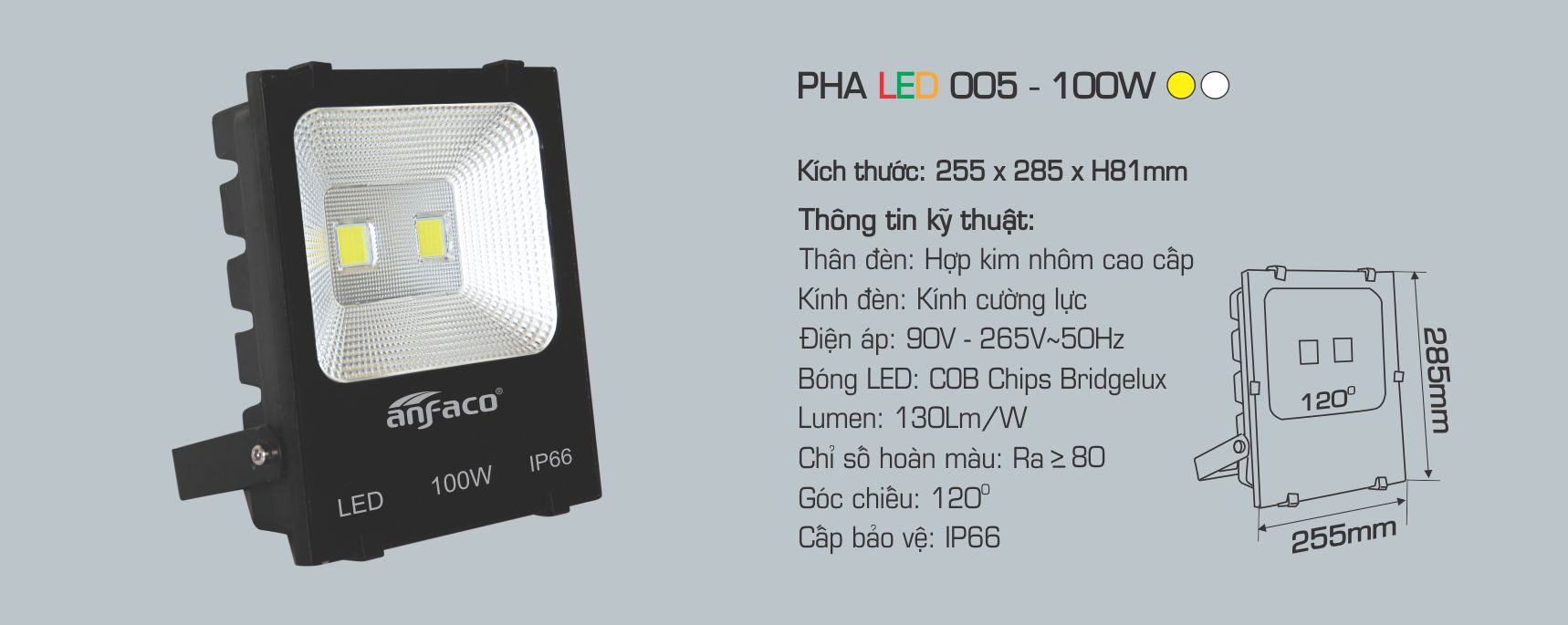 ĐÈN PHA NGOÀI TRỜI LED 005 - 100W