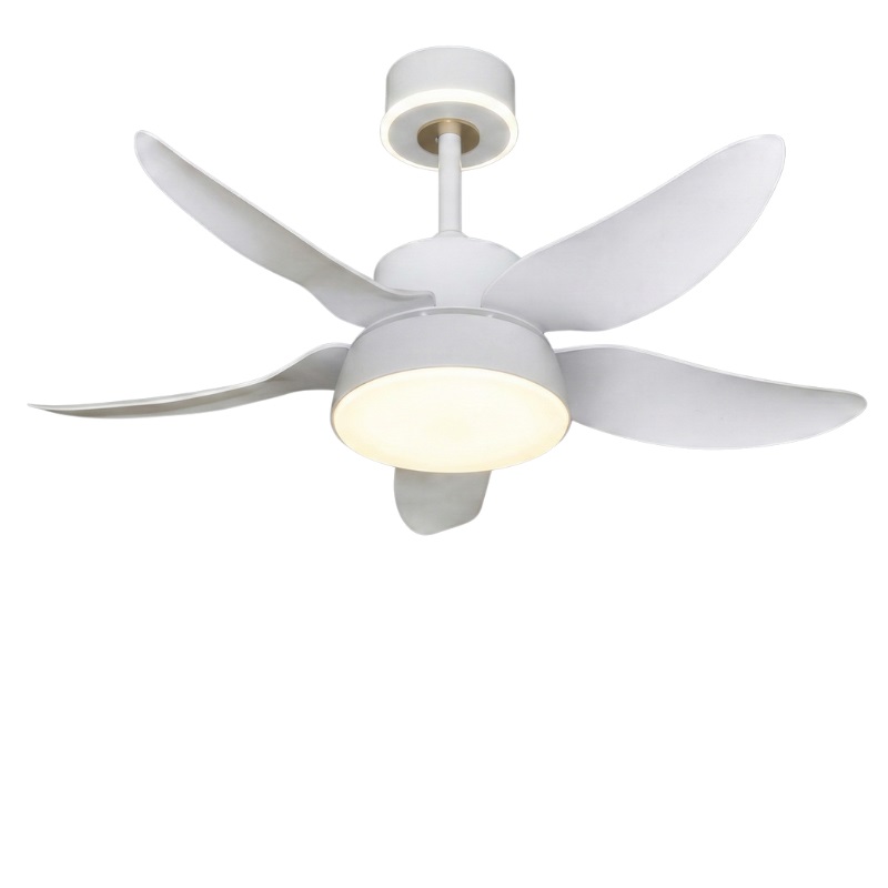 Quạt Trần 5 Cánh Nhựa Có Đèn Hiện Đại DQ6166 - Mẫu Mới 2026