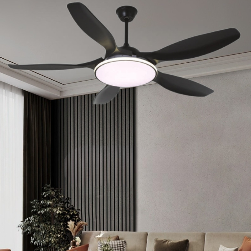 Quạt trần đèn hiện đại 5 cánh nhựa DQ6148