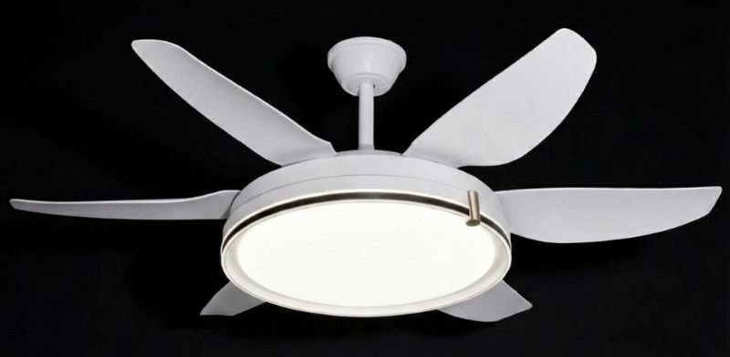 Quạt Trần 6 Cánh Trung Quốc Hiện Đại DQ6167