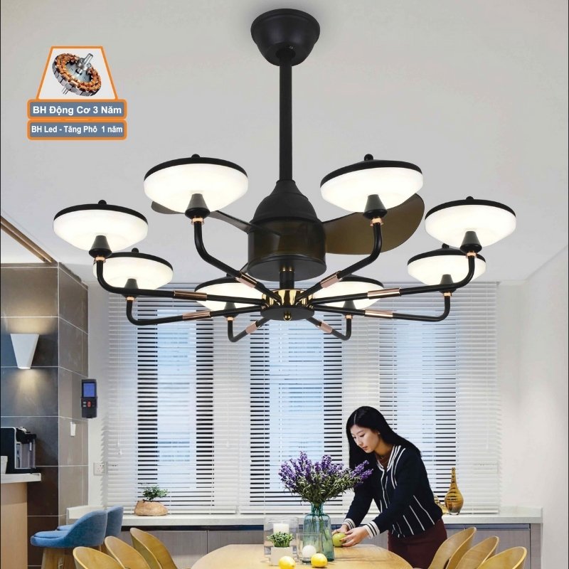 Quạt trần đèn led trang trí phòng ăn QD5195