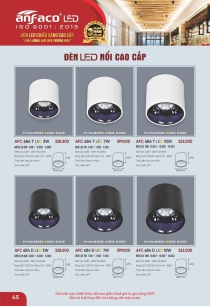 Bóng đèn trang trí trần nhà gắn nổi