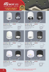 Bóng đèn trang trí trần nhà hành lang