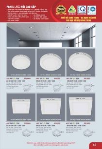 Đèn trang trí ốp trần hiện đại