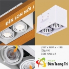 Đèn Lon Đôi Nổi-Âm Spotlight LED 24W EU-LNA152