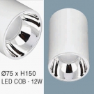 Đèn Lon Nổi Downlight LED 12W EU-LN101 Ø75