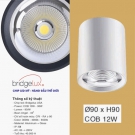 Đèn Lon Nổi Downlight LED 12W EU-LN121 Ø90