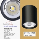 Đèn Lon Nổi Downlight LED 15W EU-LN126 Ø110