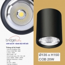 Đèn Lon Nổi Downlight LED 20W EU-LN127 Ø135